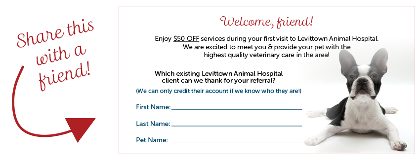 Refer-a-Friend Program | Levittown Animal Hospital